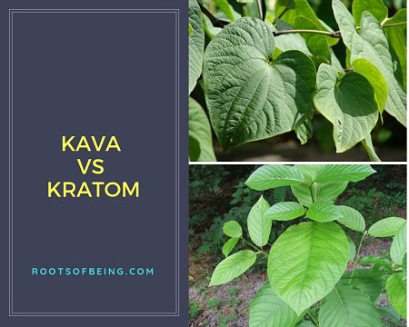 Kava vs Kratom