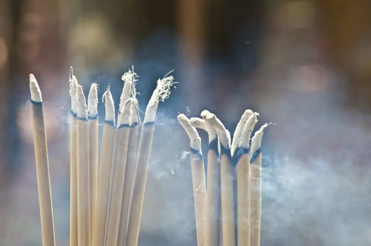 Does Incense Keep Bugs Away? Can Incense Sticks Repel Mosquitoes